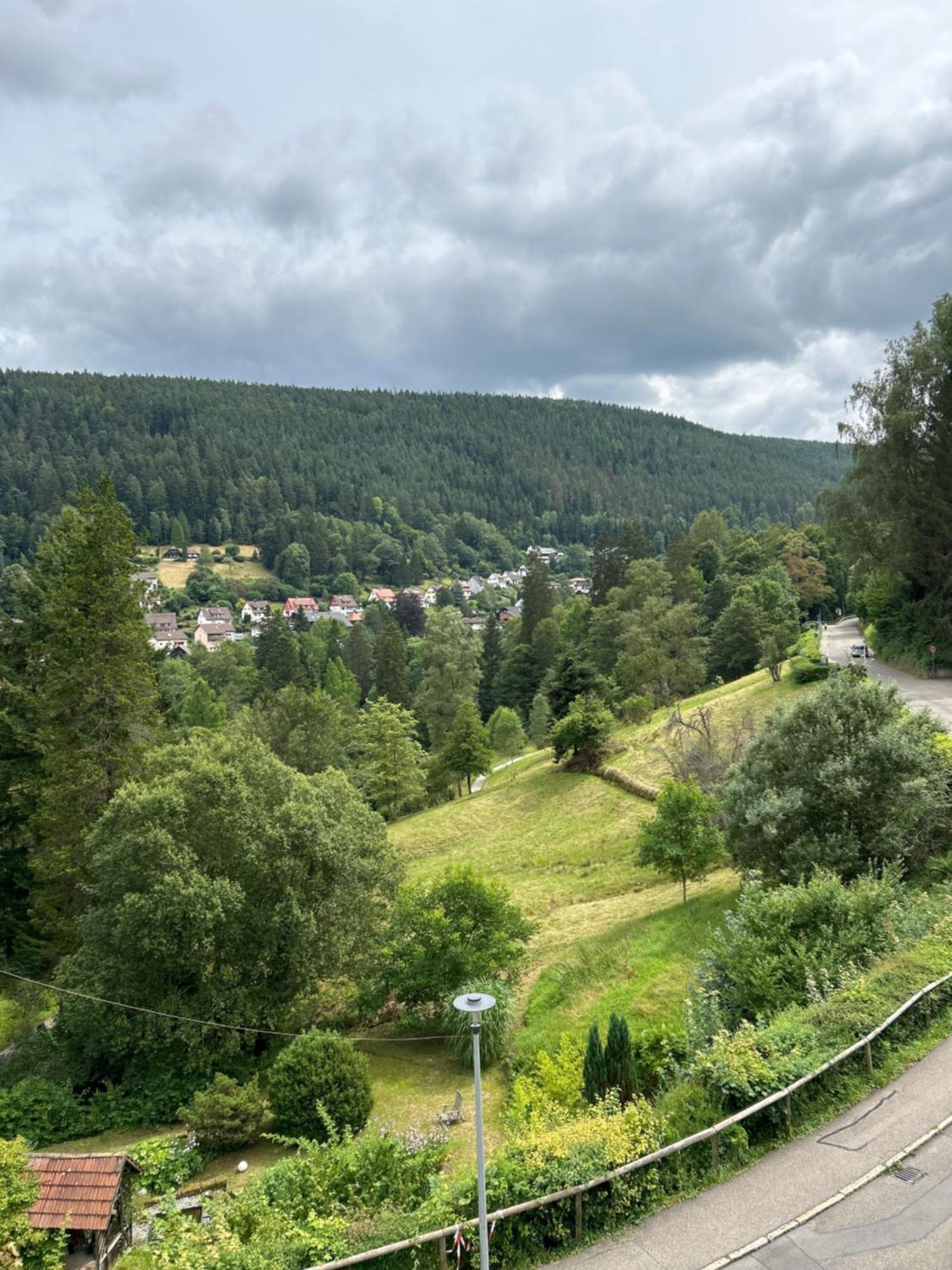Wohn-Eitel Romantik Bad Wildbad Extérieur photo