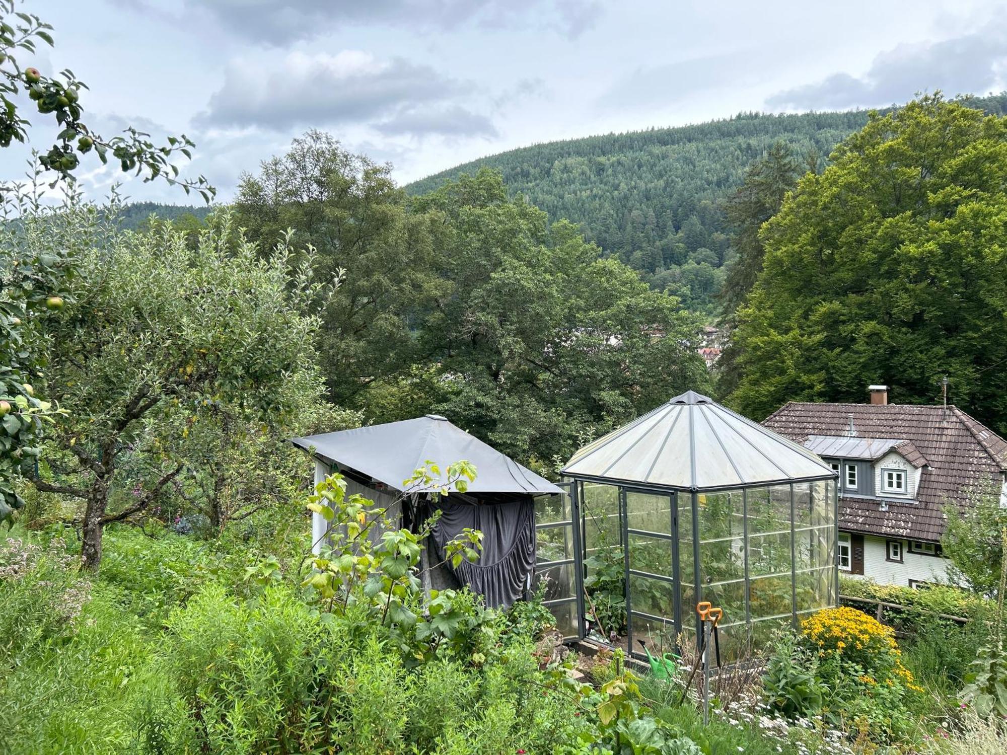 Wohn-Eitel Romantik Bad Wildbad Extérieur photo